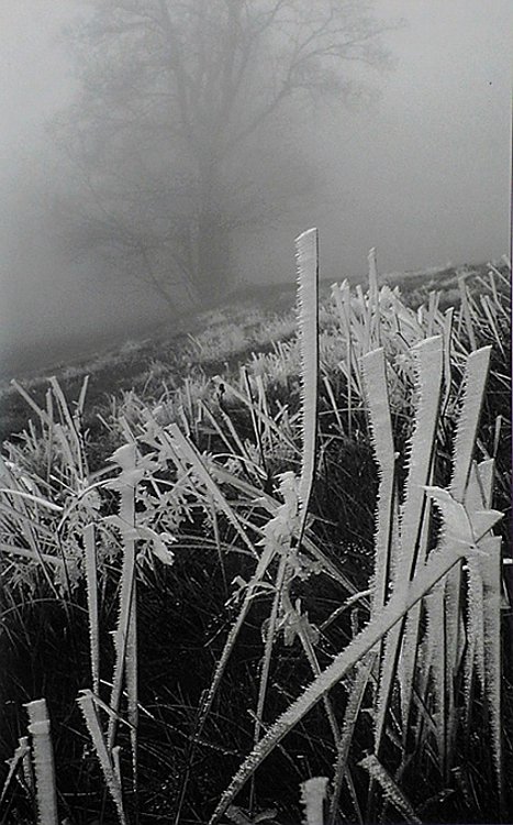 dc-kotva-v2011-08