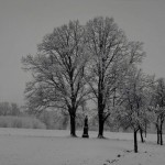 dc-kotva-v2011-11