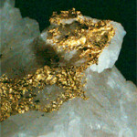 cs-zlato-01