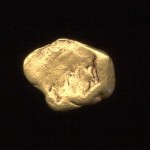 gold-freddy-schultz