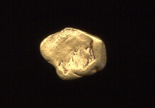 gold-freddy-schultz
