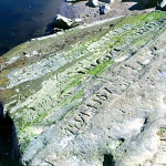 Detail hladového kamene