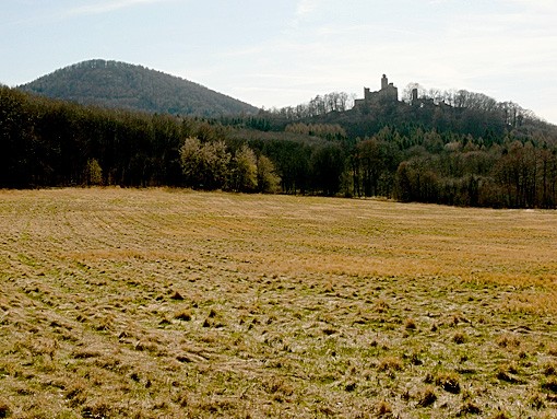 kosto-08a